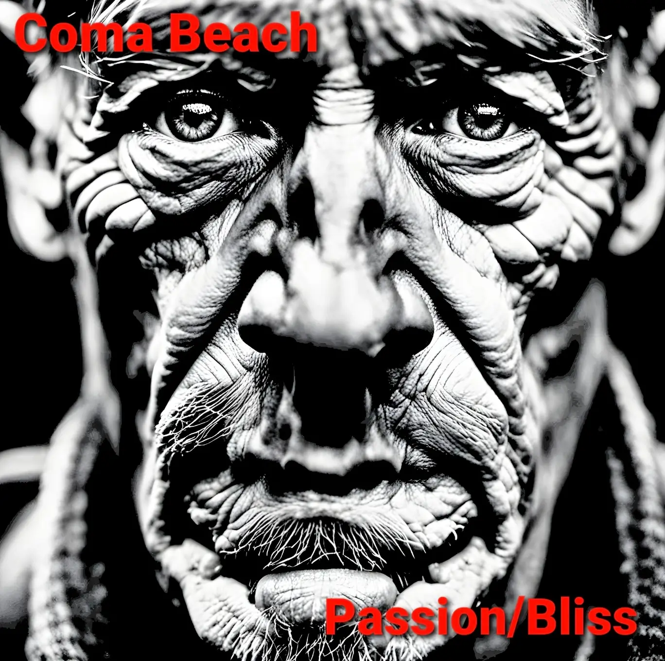 “Passion/Bliss” and sending kudos to the end of their trilogy